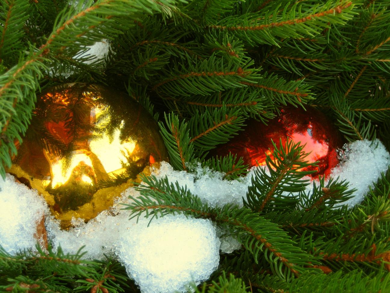 Weihnachtsfarben – © VDNSabine Kotz – Bayerischer Wald