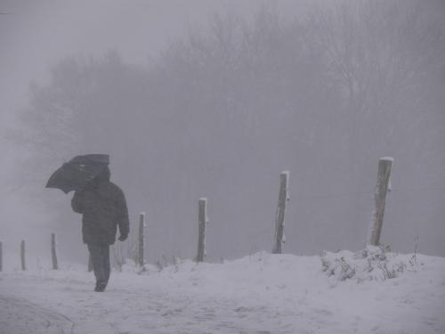 Wildewiese Skigebiet – © VDNJürgen Weisser – Homert