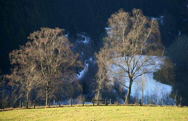 Klicken Sie auf das Bild des Tages im Fotoportal: Winterblick – © VDNJörg Willems - Rothaargebirge