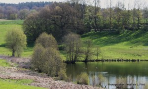 Zartes grün (c) VDN - Friedrich J. Flint - Lauenburgische Seen