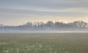 Klicken Sie auf das Bild des Tages im Fotoportal: dunstiger Morgen – © VDNwerner voss - Elbhöhen-Wendland