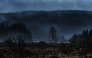 Klicken Sie auf das Bild des Tages im Fotoportal: überallnass – © VDNCarlo - Bayerischer Wald