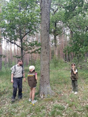 Naturpark-Entdecker*innen auf den Spuren der Hirschkäfer (© Teresa Zeuner)