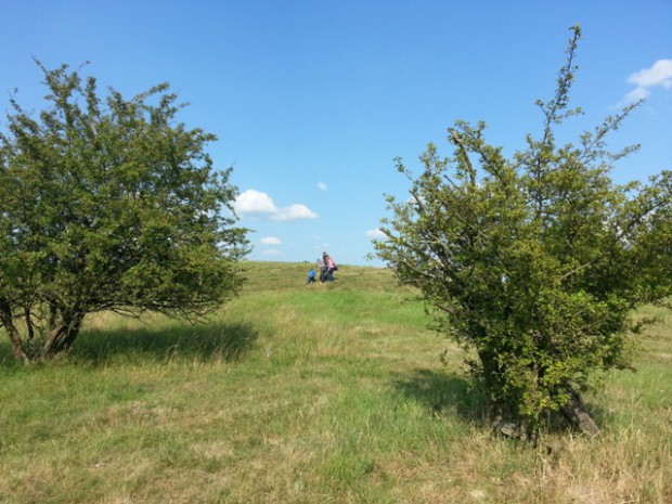 Lindenberg bei Birklar Foto: Sonnenberg
