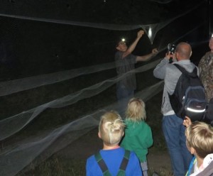 Experten beim Fledermaus-Netzfang