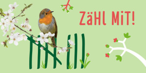 Stunde der Gartenvögel (© NABU – Naturschutzbund Deutschland e.V.)