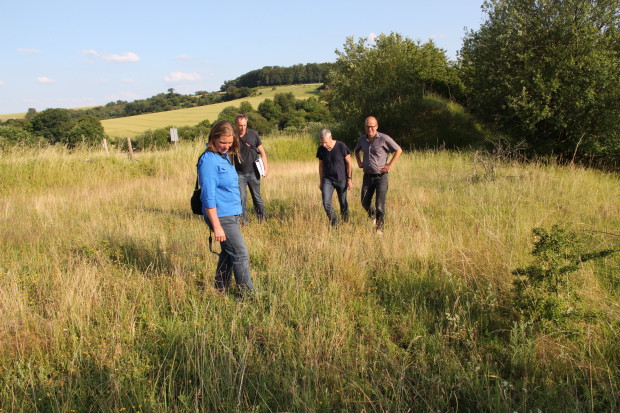 Lindenberg bei Birklar - Foto: Rößling