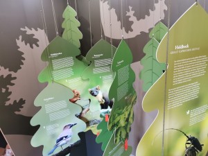 Einblick in die neue Ausstellung „GRUND verschieden – von staubtrocken bis pitschnass“ (© Besucherzentrum Naturpark Dahme-Heideseen)