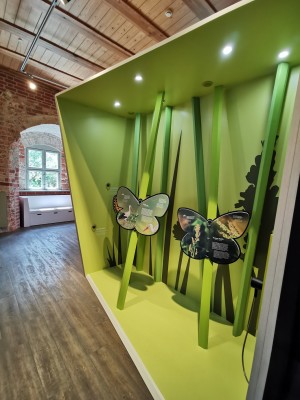 IMG 20210521 134912 300x400 IMG 20210521 134912 300x400 Neue Dauerausstellung auf der Burg Storkow: GRUNDverschieden Von staubtrocken bis pitschenass