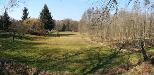 Tornower Blick 2015 (Foto Hans Sonnenberg)