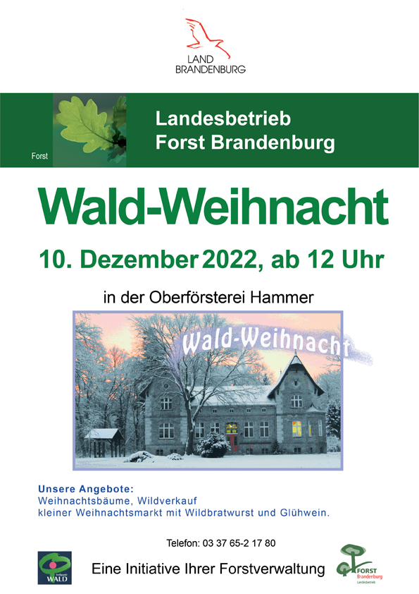 Waldweihnacht 2022 Waldweihnacht in der Oberförsterei Hammer am 10. Dezember