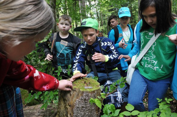 Wandern Melsungen (Foto: Deutscher Wanderverband)