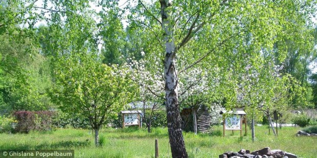 Frühling im Biogarten (Foto: G. Poppelbaum)