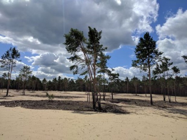 Sandoffenfläche in der Bugker Sahara @ Hans Sonnenberg
