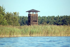 Aussichtsturm "Selchow" an der Groß Schauener Seenkette (© Naturpark Dahme-Heideseen)