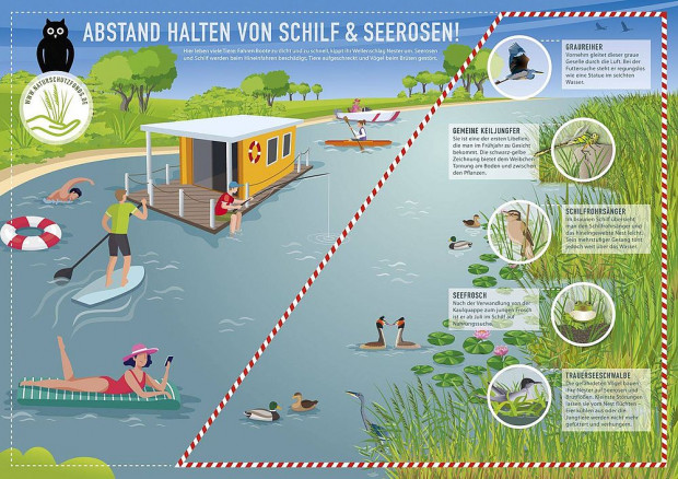 Abstand halten von Schilf und Seerosen (© Stiftung Naturschutzfonds Brandenburg)