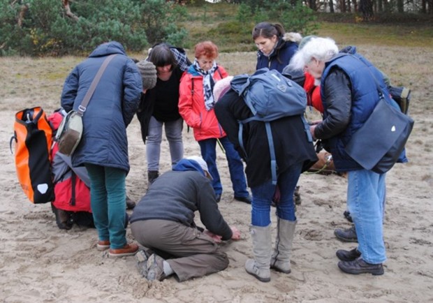Frank Jermis erklärt der Gruppe die Spuren im Sand der Binnendüne (© Hans Sonnenberg)