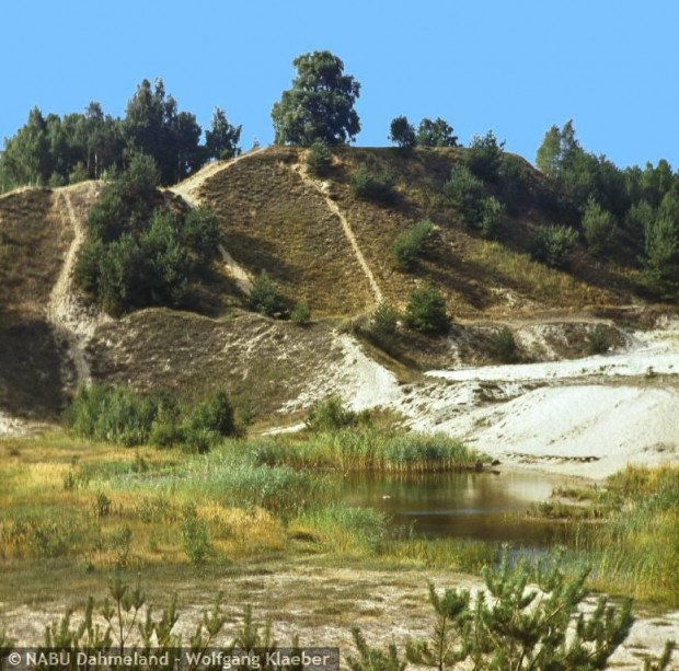 Historsiche Aufnahme der Pätzer Kiesgrube (Foto: W. Klaeber - www.bildarchiv-nabu-dahmeland.de