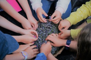 © BIZ Naturpark Dahme-Heideseen