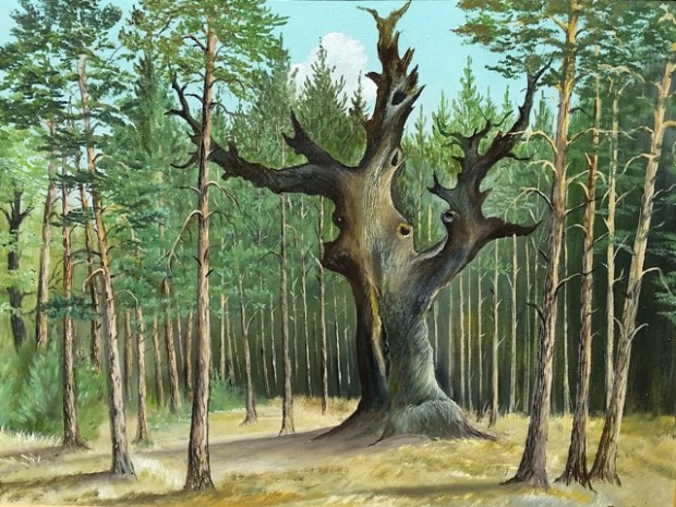 Die Königseiche - ein Baum in Veränderung (© Neujahr)