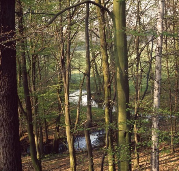 Blick auf die Dahmel bei Oderin © Hans Sonnenberg