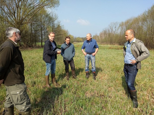 Projektbegehung auf einer Salzwiese bei Selchow © Hans Sonnenberg