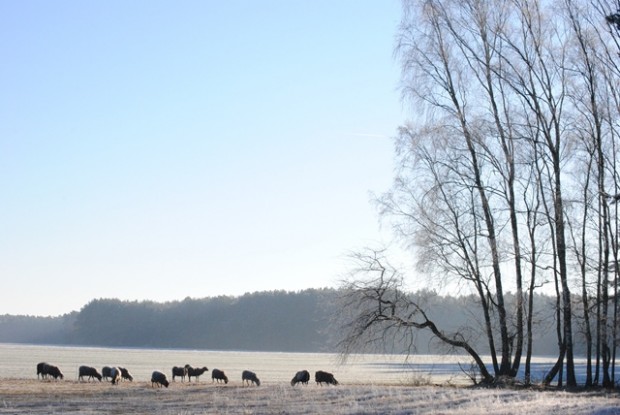 ????????????????????????????????????