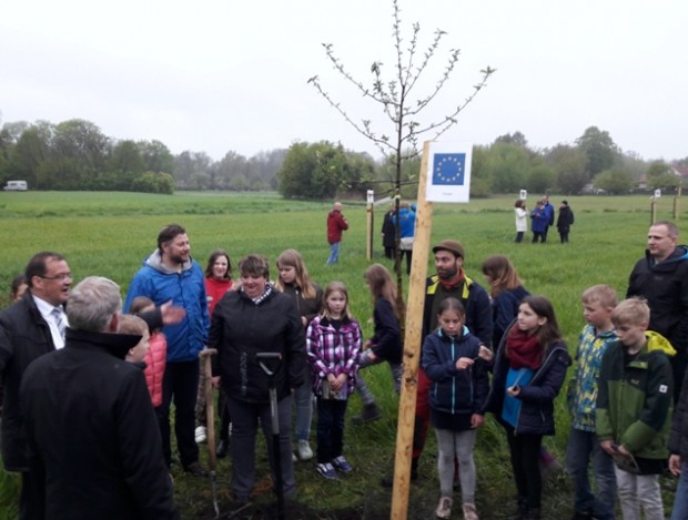 Kindern der Europaschule Storkow pflanzten eine Baum der Sorte „Gravensteiner“ (Foto: G. Heyne)