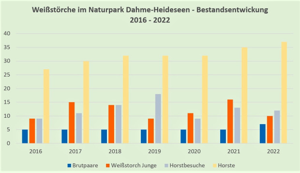 weißstörche NP DH Bestandsentwicklung 2016 2022 Bild1 620x357 weißstörche NP DH Bestandsentwicklung 2016 2022 Bild1 620x357 Storchenpopulation im Blick