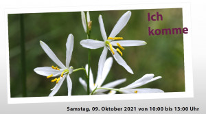 Öffentliche Ausbringung von Trauben Graslilie im FFH-Gebiet Löptener Fenne-Wustrickwiesen