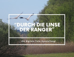 © Naturpark Dahme-Heideseen