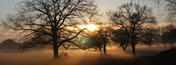 (C) Naturpark Dübener Heide