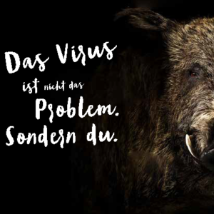 Postkarte Afrikanische Schweinepest (C) Sächsisches Staatsministerium für Soziales und Verbraucherschutz