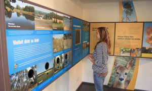 Interaktive Dauerausstellung im NaturparkHaus (C) VDH