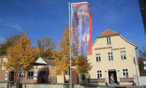 (C) Verein Dübener Heide
