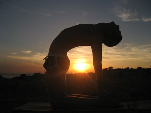 Fit und gesund mit Yoga. Foto: Pixelio.de/www.yogan-om.de
