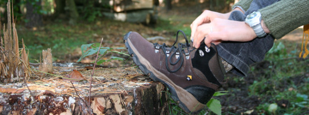 (C) Naturpark Dübener Heide