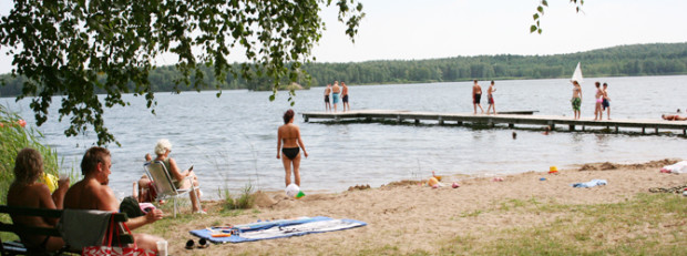 (C) Naturpark Dübener Heide