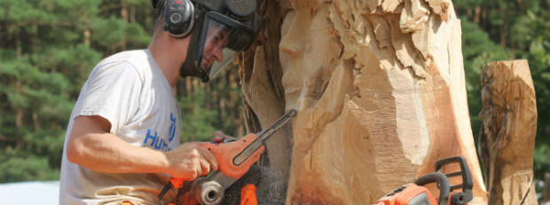 (C) Naturpark Dübener Heide