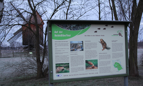 (C) Naturpark Dübener HeideHeide-Biber-Tour