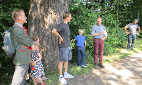 Auftaktveranstaltung Baumriesenprojekt in Wermsdorf mit Schirmherr Wolfram Günther, sächsischer Staatsminister für Energie, Klimaschutz, Umwelt und Landwirtschaft (C) Verein Dübener Heide e.V.