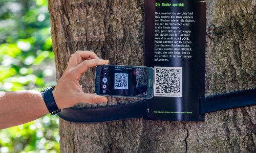 Mit Smartphone und QR-Code erzählen Bäume Geschichten im Bad Schmiedeberger Baumtheater (C) Elbetalfotografie/neuland+