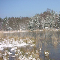 (C) Naturpark Dübener Heide