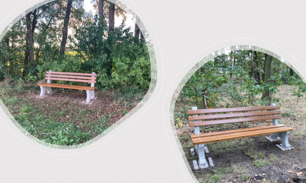 Die neuen Bänke an der Südumfahrung und am Battauner Weg in Sprotta (C) Regionalmanagement Dübener Heide