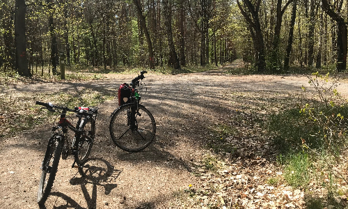 Die Schönheit der Dübener Heide soll künftig besser mit dem Rad erkundet werden können (C) Verein Dübener Heide e.V.