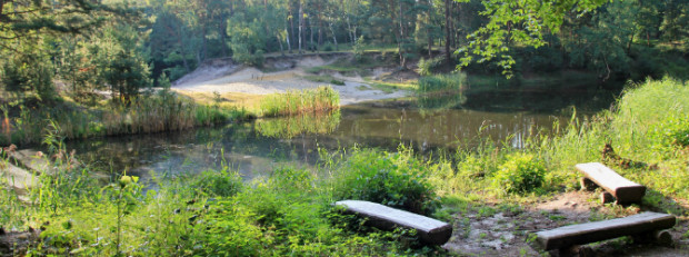 (C) Naturpark Dübener Heide