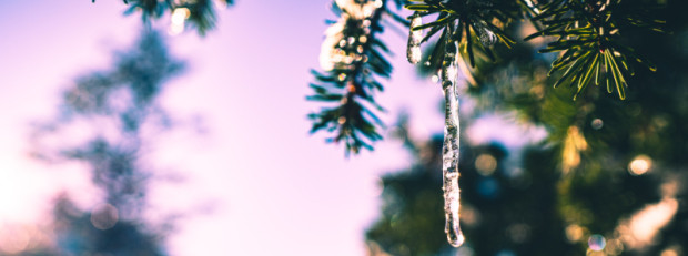 Winterfreuden (C) Shadrin Andres via Unsplash