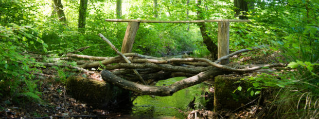 Wassertretstelle entlang der Heide-Biber-Tour (C) Anika Dollmeyer