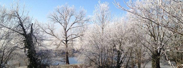 Blick auf die Mulde (C) VDH