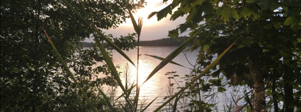 (C) Naturpark Dübener Heide
